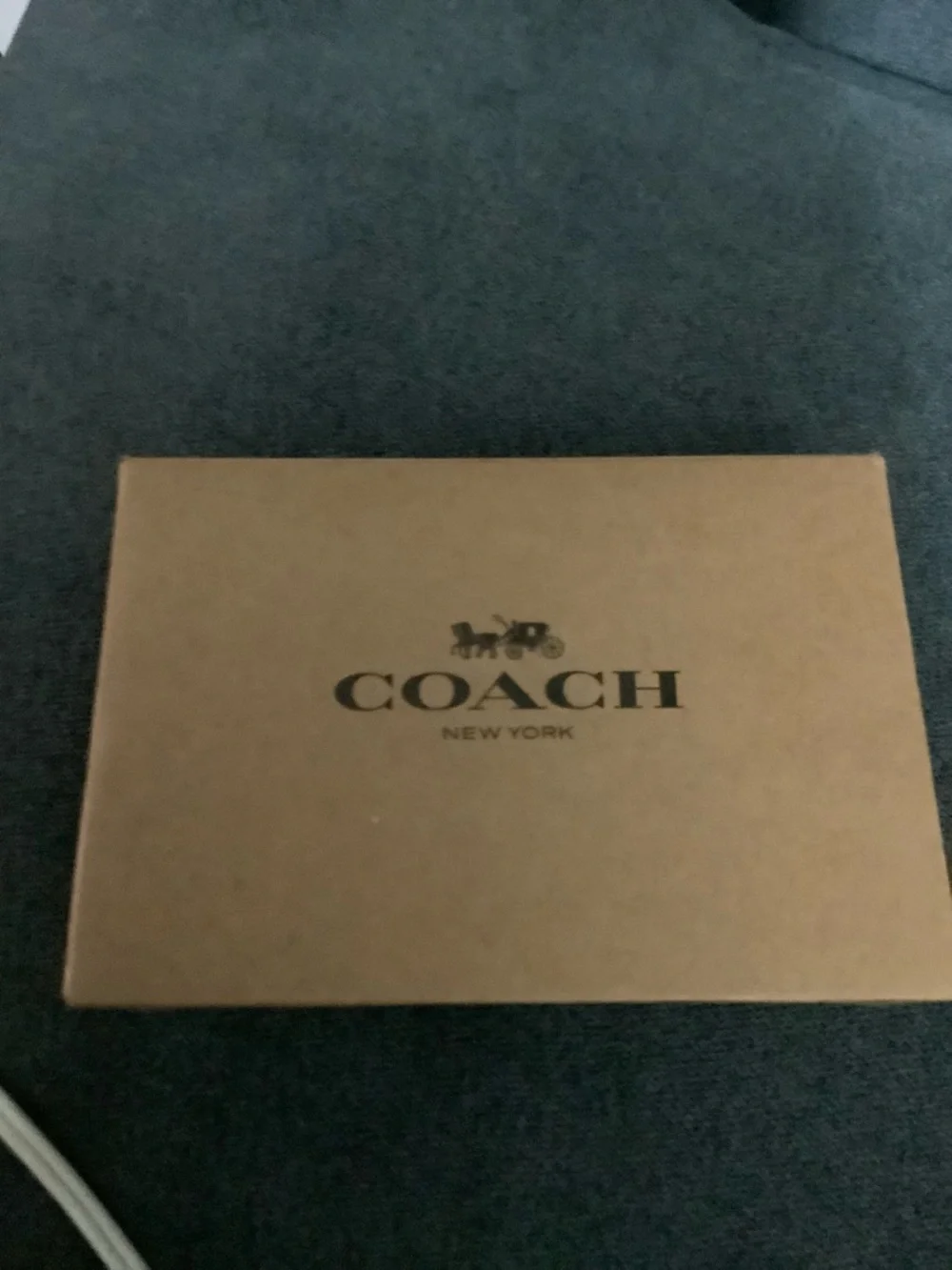 NWT NEW Coach Burgundy and pink bow logo Crossbody Purse with silver Chain - Picture 9 of 9